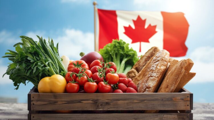 CRA Confirms $628 Canada Grocery Rebate February 2026: Eligibility Rules & Payment Amounts