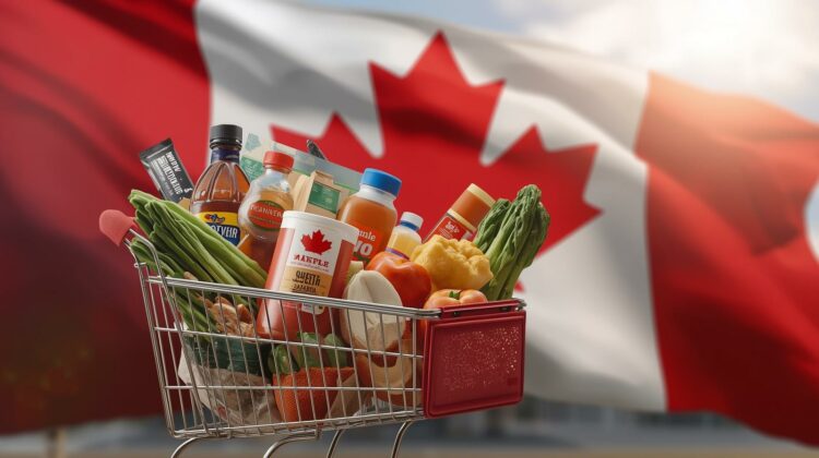 Canada Announces New Grocery Benefit & GST/HST Credit Increase: What Households Need to Know as Payments Approach