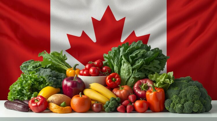 Canada New Groceries and Essentials Benefit Explained: What the Upcoming Payment Means for Your Tax Return