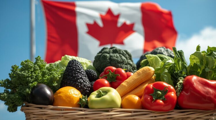 Mark Carney Announces New $400 Canada Grocery Rebate 2026: Eligibility & Payment Details