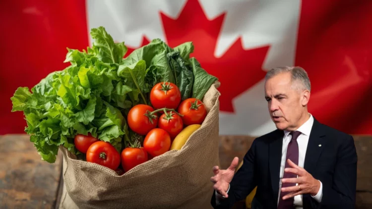 Mark Carney New Grocery Rebate 2026: Who Qualifies, How Much You Could Get, and When Payments Are Expected