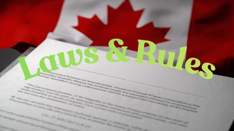 6 New Ontario Laws and Rules Coming in February 2026 That Could Affect Millions of Residents