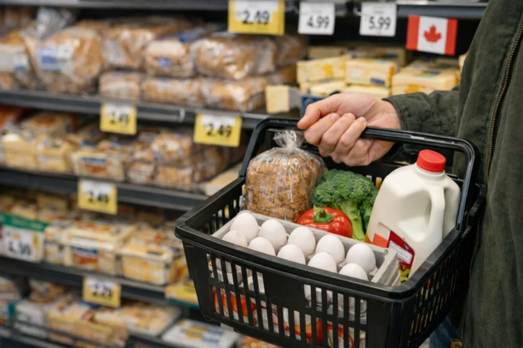 Canada Groceries and Essentials Benefit Coming Soon: Who Qualifies and How Much You Can Expect